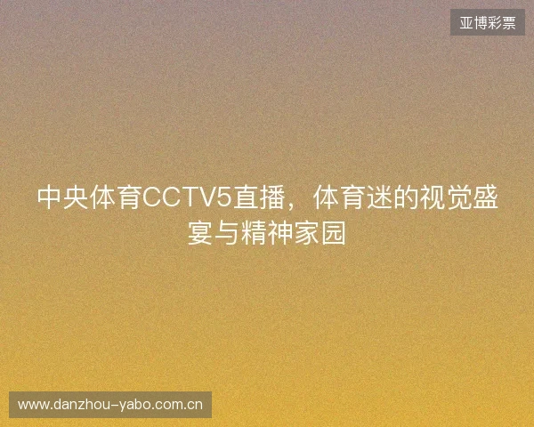 中央体育CCTV5直播，体育迷的视觉盛宴与精神家园